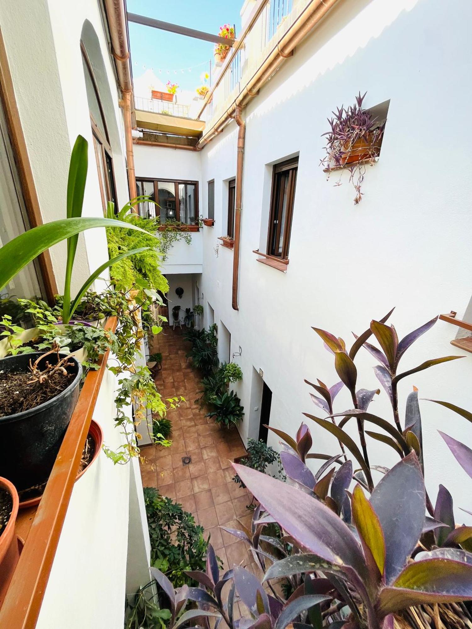 Casa Turistica San Agustin Apartment Cordoba Exterior photo